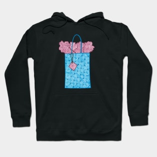 Gift bag (blue and pink) Hoodie